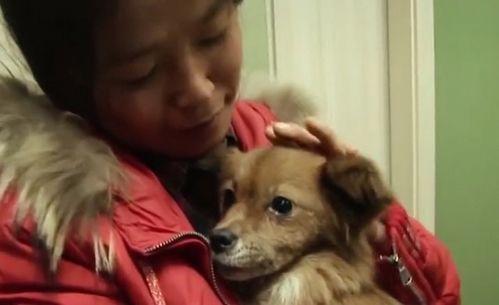 狗子黑料爆料视频下载,视频爆料背后的真相与争议  第1张