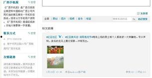 宾阳实时最新新闻爆料 第1张 宾阳实时最新新闻爆料 第1张